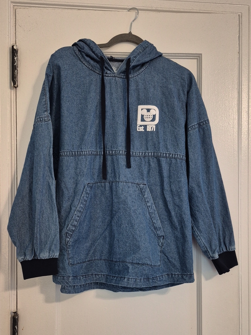 Walt Disney World Spirit Jersey Denim Hoodie